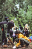 Our Partnership with TheGoodAPI: Combating Climate Change Through Reforestation