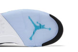 Air Jordan 5 Retro 'Grape' 2025