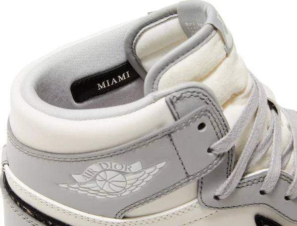 Dior x Air Jordan 1 High OG 